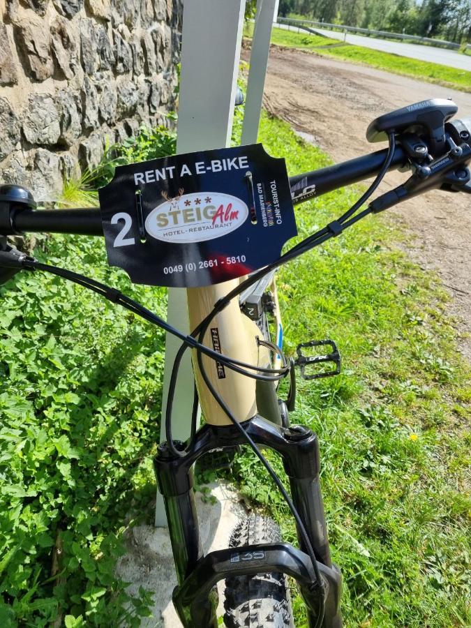 Steig-Alm Hotel Superior Bad Marienberg Eksteriør billede